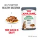 Royal Canin Digestive Care in Gravy