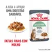 Royal Canin Digestive Care em molho