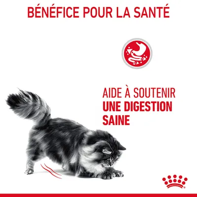 BÉNÉFICE POUR LA SANTÉ. AIDE À SOUTENIR UNE DIGESTION SAINE. Image d’un chat et icône d’estomac stylisé.