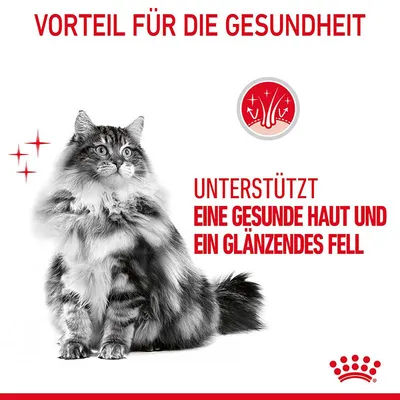 Vorteil für die Gesundheit: Unterstützt eine gesunde Haut und ein glänzendes Fell. Bild einer Katze mit Royal Canin Logo.