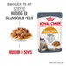 Royal Canin Hair & Skin Care i sauce