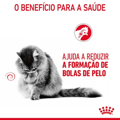 O benefício para a saúde. Ajuda a reduzir a formação de bolas de pelo.