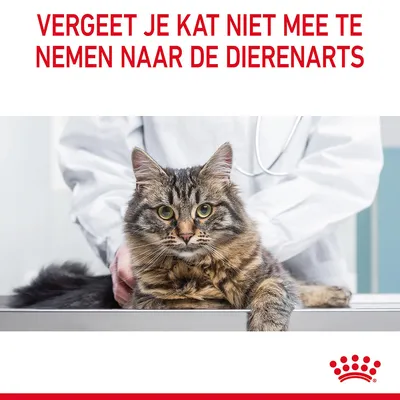 Vergeet je kat niet mee te nemen naar de dierenarts. Kat op onderzoekstafel met dierenarts, Royal Canin logo onderaan.