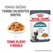 Royal Canin FCN Hairball Care v želé