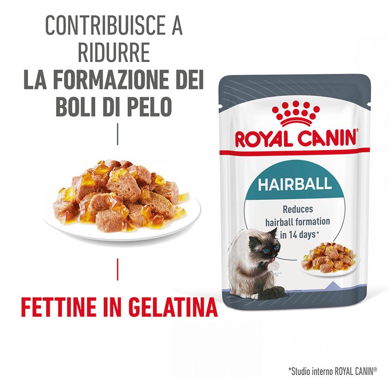 Royal Canin FCN Hairball Care in Gelatina umido gatto