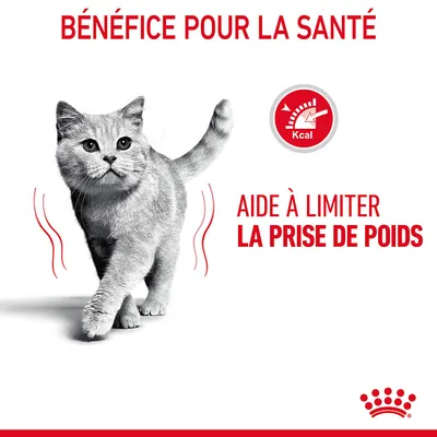 BÉNÉFICE POUR LA SANTÉ. Aide à limiter la prise de poids. Icône Kcal. Texte en français, image d’un chat et logo Royal Canin visibles.