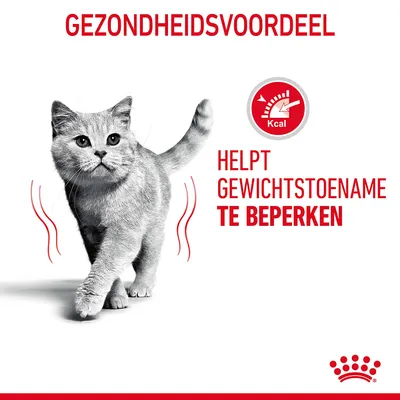 Gezondheidsvoordeel: helpt gewichtstoename te beperken. Kcal-symbool zichtbaar. Tekst in rood en zwart, afbeelding van een grijze kat. Royal Canin kroon onderaan.