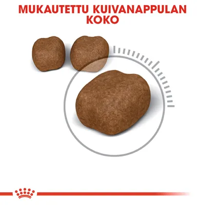 Mukautettu kuivanappulan koko, kuvassa kolme erikokoista ruskeaa nappulaa ja teksti: MUKAUTETTU KUIVANAPPULAN KOKO.