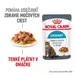Royal Canin Urinary Care v omáčke