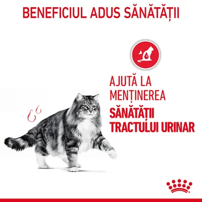 Beneficiul adus sănătății. Ajută la menținerea sănătății tractului urinar. Imagine cu o pisică și simbol roșu cu siluetă de pisică.