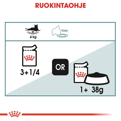 Ruokintaohje 4 kg kissalle: joko 3 + 1/4 annospussia tai 1 annospussi ja 38 g kuivaruokaa. Vesi mainittu. Royal Canin -logo näkyvissä.