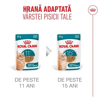 Royal Canin hrană umedă pentru pisici senior, 85g, variante pentru pisici de la 11 ani și de la 15 ani comparativ, ambalaje cu imaginea unei pisici. Royal Canin hrană umedă pentru pisici senior, 85g, variante pentru pisici de la 11 ani și de la 15 ani comparativ, ambalaje cu imaginea unei pisici.
