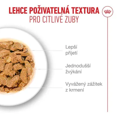 Royal Canin Ageing 11+ v želé Royal Canin Ageing 11+ v želé