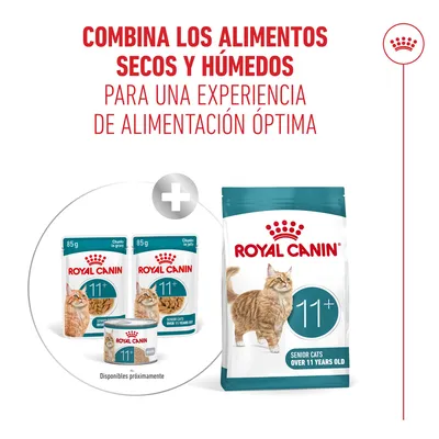 Royal Canin Ageing 11+ en gelatina