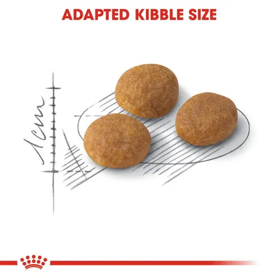 Three round kibbles shown with a 1cm scale and the text 'ADAPTED KIBBLE SIZE' above, illustrating kibble size for reference.