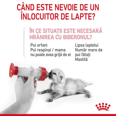 CÂND ESTE NEVOIE DE UN ÎNLOCUITOR DE LAPTE? ÎN CE SITUAȚII ESTE NECESARĂ HRĂNIREA CU BIBERONUL? Pui orfani, pui respinși/mama nu poate avea grijă de ei, lipsa laptelui, număr mare de pui fătați, mastită.