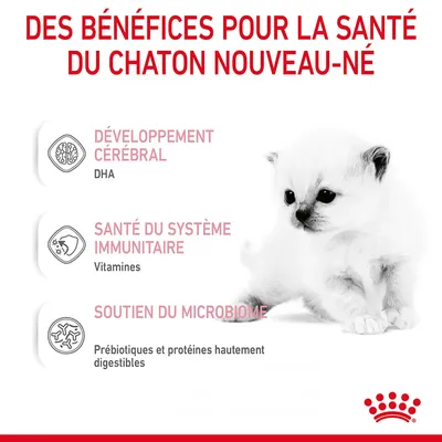 Des bénéfices pour la santé du chaton nouveau-né : développement cérébral (DHA), santé du système immunitaire (vitamines), soutien du microbiome (prébiotiques, protéines hautement digestibles).
