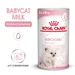 Royal Canin Babycat Milk