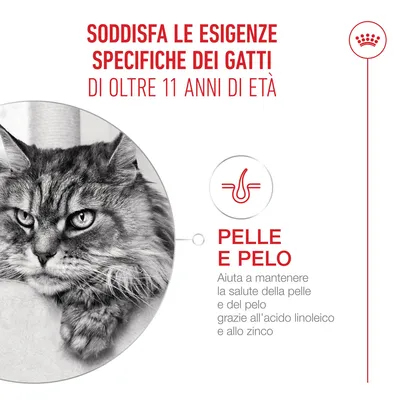 Royal Canin Ageing 11+ Mousse