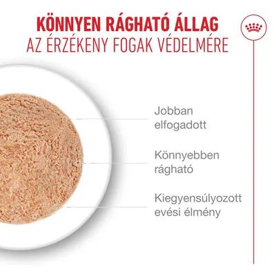 Royal Canin Ageing 11+ Mousse