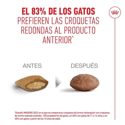 Royal Canin Ageing 15+