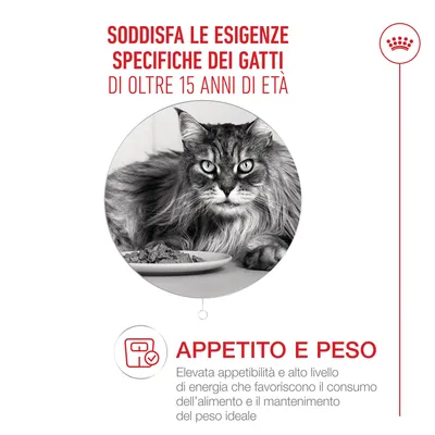 Royal Canin Ageing 15+ Mousse Royal Canin Ageing 15+ Mousse