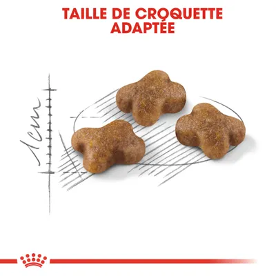 Croquettes en forme de trèfle, texte visible : 'TAILLE DE CROQUETTE ADAPTÉE', schéma indiquant 1 cm pour illustrer la taille des croquettes.