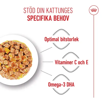 Royal Canin Kitten i gelé