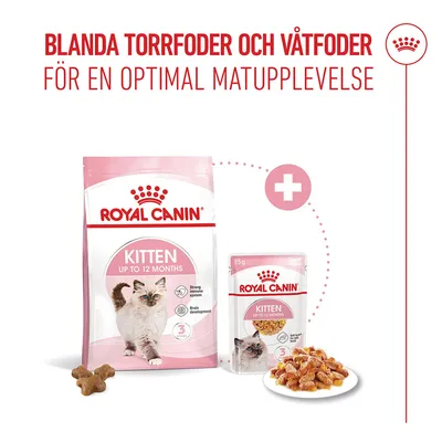 Royal Canin Kitten i gelé