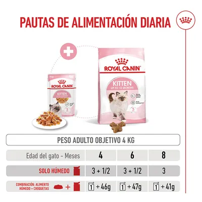 Royal Canin Kitten en gelatina