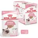 Royal Canin Kitten Mousse
