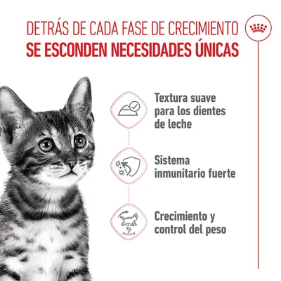 Royal Canin Sterilised Kitten en salsa