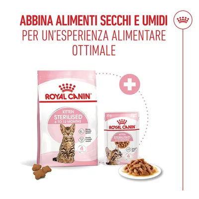 Royal Canin Kitten Sterilised in Salsa