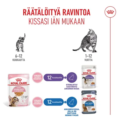 Royal Canin Kitten Sterilized in Jelly