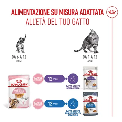 Royal Canin Kitten Sterilised in Gelatina