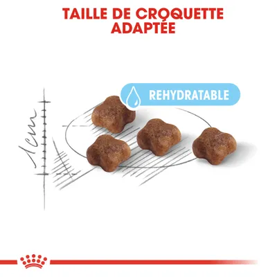 Taille de croquette adaptée, 1 cm indiqué, texte visible : REHYDRATABLE. Quatre croquettes en forme de croix sur fond blanc avec schéma de mesure.