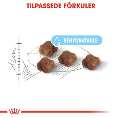 Royal Canin Mother & Babycat