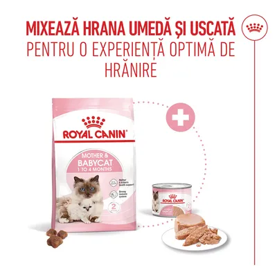 Royal Canin Mother & Babycat 1 până la 4 luni hrană uscată și hrană umedă, recomandare pentru combinare pentru o experiență optimă de hrănire. Royal Canin Mother & Babycat 1 până la 4 luni hrană uscată și hrană umedă, recomandare pentru combinare pentru o experiență optimă de hrănire.