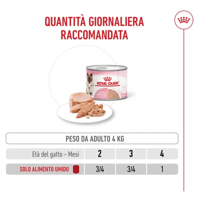 Royal Canin Mother & Babycat umido in Mousse ultra soffice per gatti