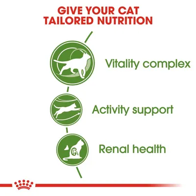Give your cat tailored nutrition: vitality complex, activity support, renal health.