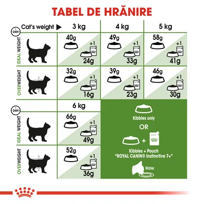 Tabel de hrănire pentru pisici Royal Canin: cantități zilnice recomandate în funcție de greutate (3–6 kg) și stare corporală, cu opțiuni hrană uscată sau combinată cu plic Instinctive 7+.