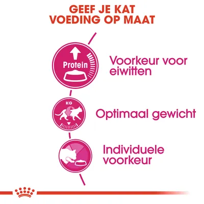 Geef je kat voeding op maat: voorkeur voor eiwitten, optimaal gewicht, individuele voorkeur. Drie pictogrammen met tekst en symbolen voor kattenvoeding.