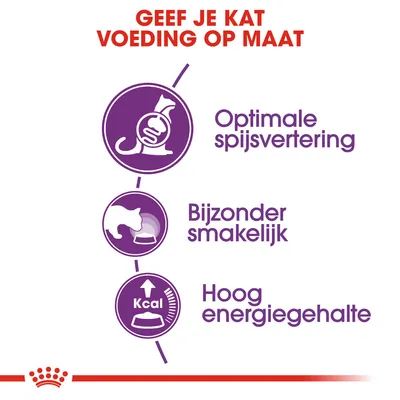 Geef je kat voeding op maat: optimale spijsvertering, bijzonder smakelijk, hoog energiegehalte.