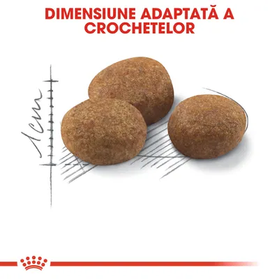 Trei crochete cu dimensiune aproximativ 1 cm, text vizibil: „DIMENSIUNE ADAPTATĂ A CROCHETELOR”