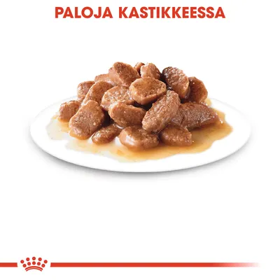 Paloja kastikkeessa -teksti. Valkoisella lautasella ruskeita paloja kastikkeessa, Royal Canin kruunusymboli alareunassa.
