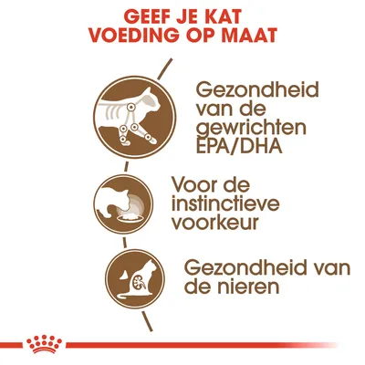 Geef je kat voeding op maat: gezondheid van de gewrichten EPA/DHA, voor de instinctieve voorkeur, gezondheid van de nieren.