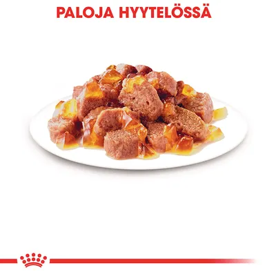 Paloja hyytelössä -teksti, lautasella ruskeita lihapaloja ja kirkasta hyytelöä. Tuotemerkki ei näkyvissä.