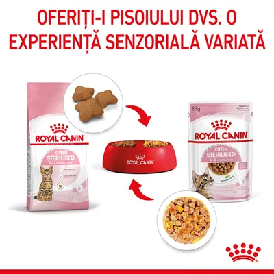 Royal Canin Kitten Sterilised 6–12 months: pachet hrană uscată, plic hrană umedă și bol roșu cu ambele tipuri de hrană. Text vizibil: Oferiți-i pisoiului dvs. o experiență senzorială variată.