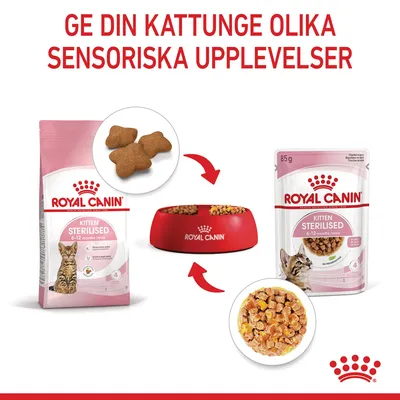 Royal Canin Kitten Sterilised 6–12 months torrfoder och våtfoder, båda med kattungebild, samt text: Ge din kattunge olika sensoriska upplevelser.