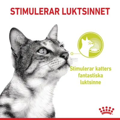 Text: STIMULERAR LUKTSINNET. Stimulerar katters fantastiska luktsinne. Bild på katt och symbol med kattnos mot matskål. Royal Canin-logotyp synlig.